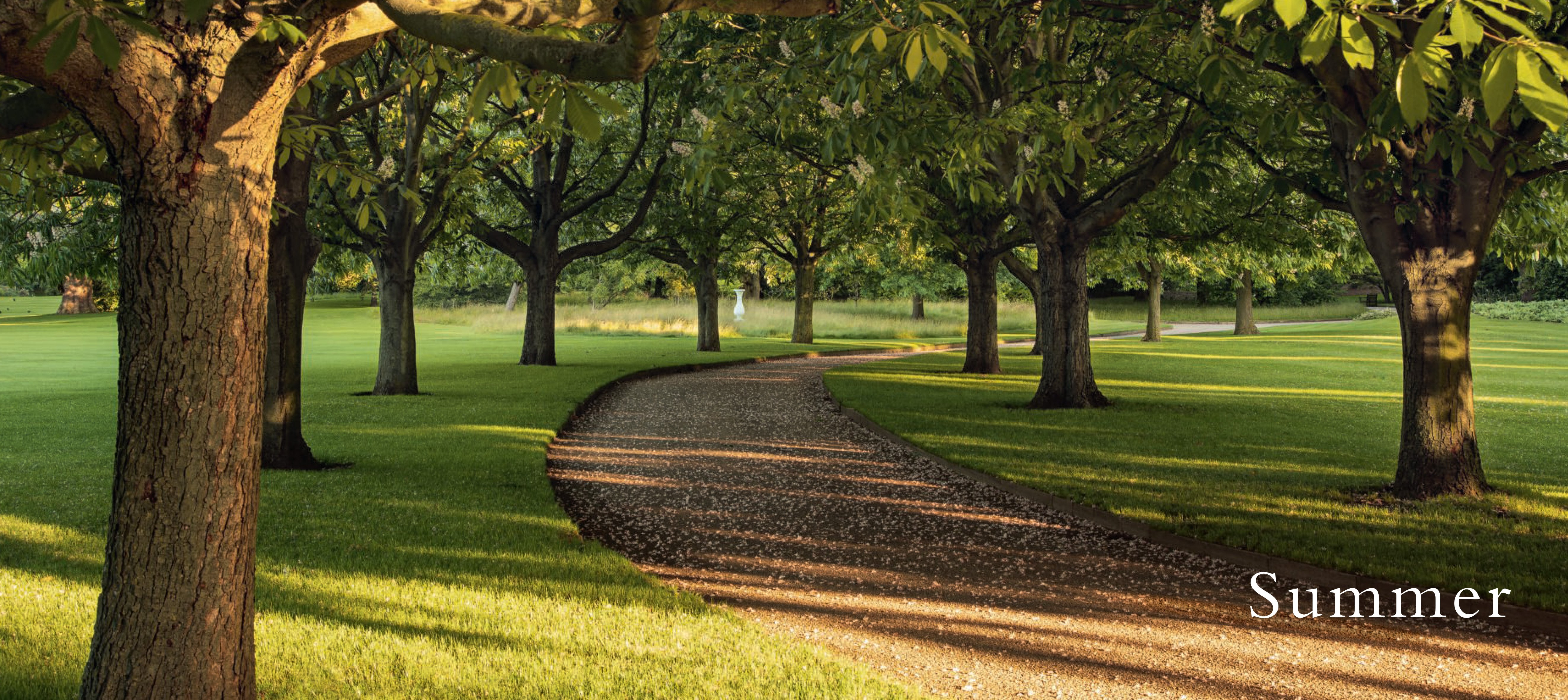 Scene from the Buckingham Palace garden book